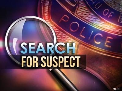 Suspect Search