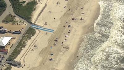 Marine Biologist Says Recent Shark Attacks Are No Cause For Worry