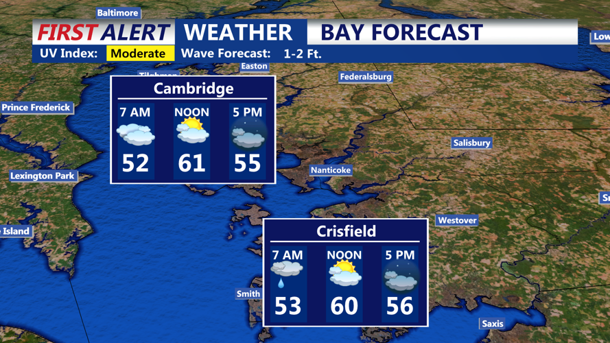 BAY FORECAST