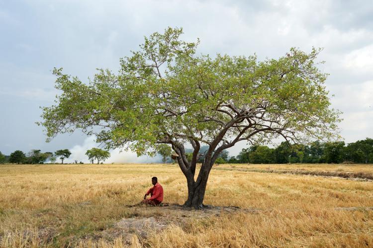 Climate Sri Lanka Drought