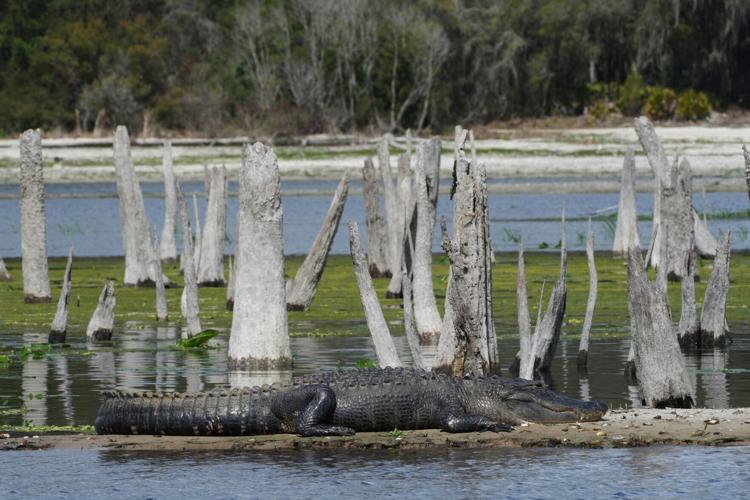 Climate Florida Dam Removal