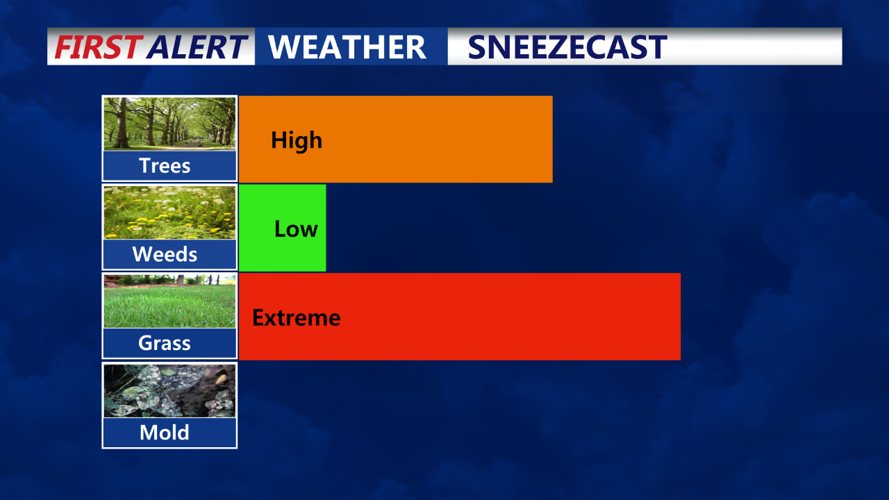 Tuesday's Allergy Index