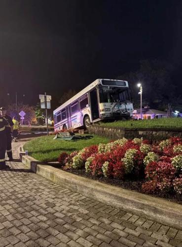 DART bus stuck on the center of a landscaped roundabout at night.