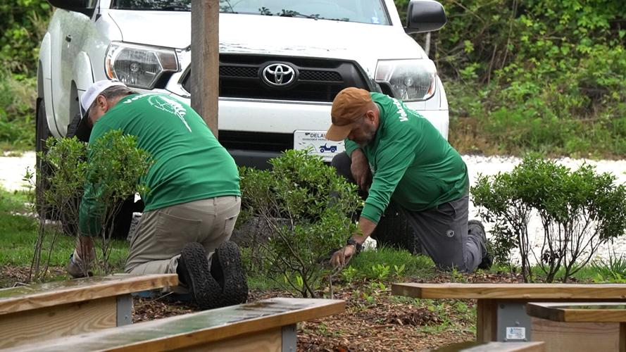 Volunteers