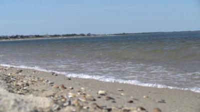 Lewes Parks and Recreation Set to Decide on a New Name for Beach One