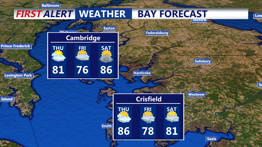 BAY FORECAST
