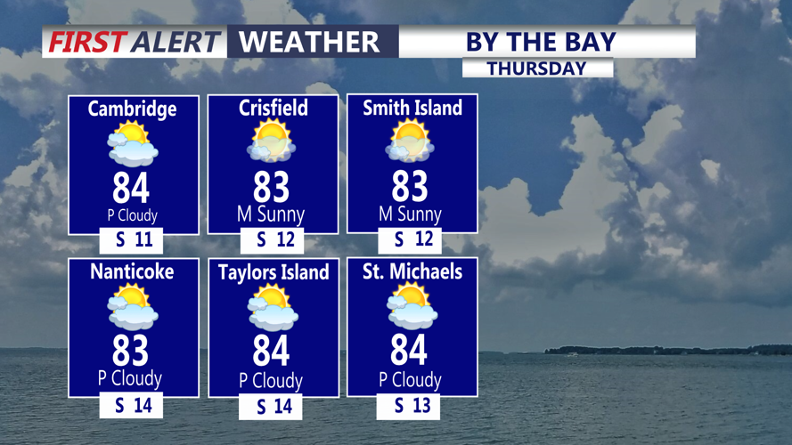 BY THE BAY FORECAST