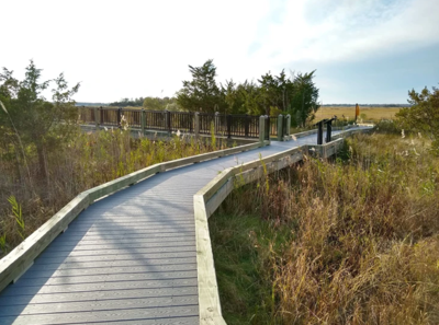 slaughter beach trail