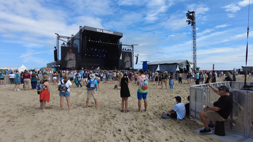 Crowds gathering for Oceans Calling last year