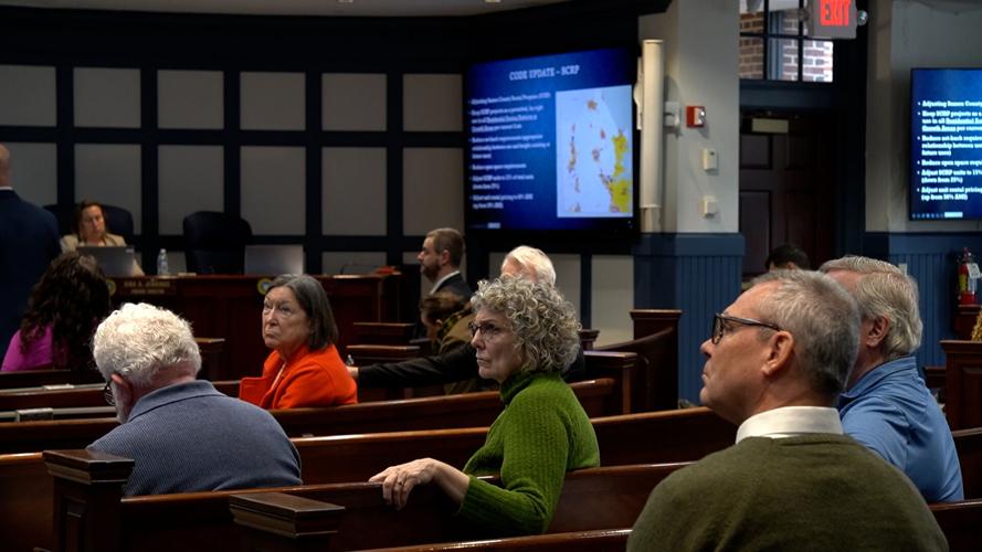 Crowd at county council