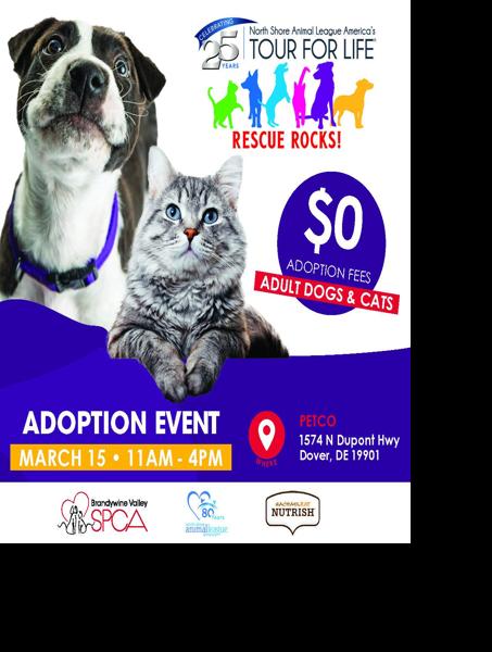 Adopt
