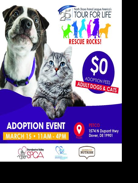 Adopt