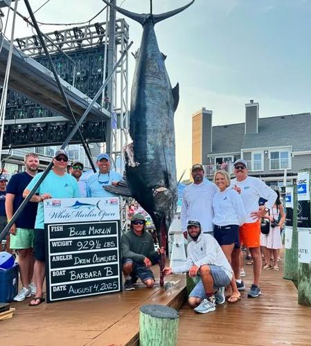 Blue Marlin Winner