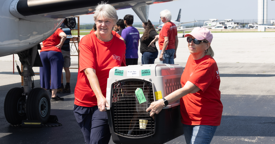 Brandywine Valley SPCA saves shelter pets from flooding in Texas