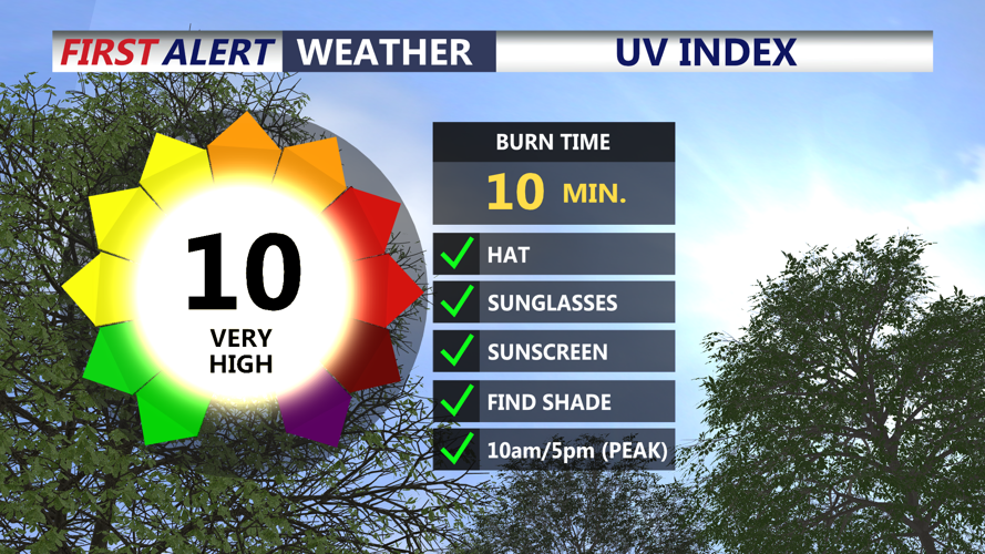 UV INDEX