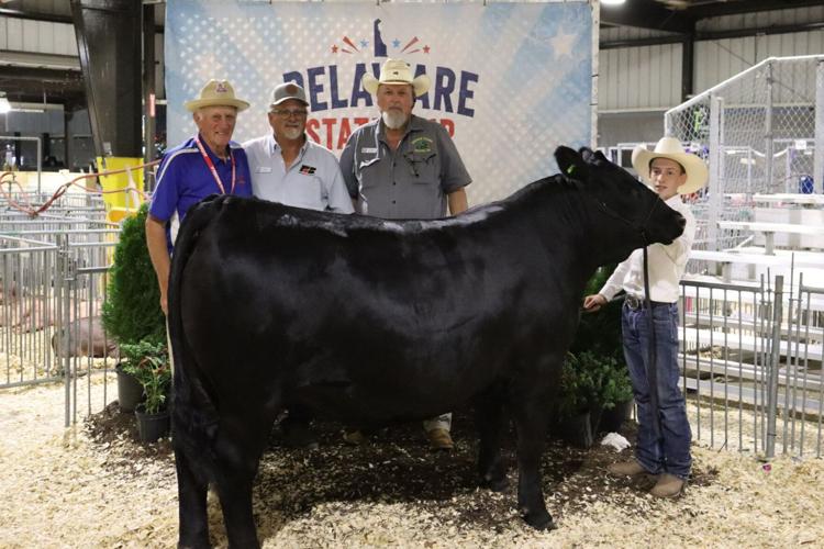 A black cow stands in hay with three men.