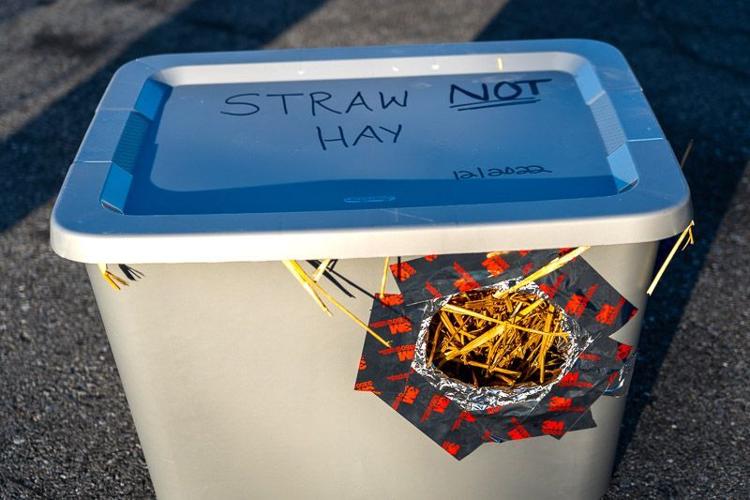 cat houses ocean pines