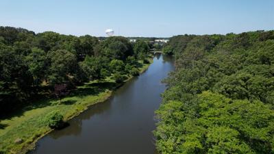 Rehoboth Beach Commissioners Review Final Tree Code Draft