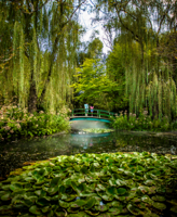 Lewes plans art lovers bus tour to Grounds for Sculpture Oct. 15