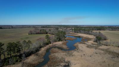 Prime Hook Controlled Burn