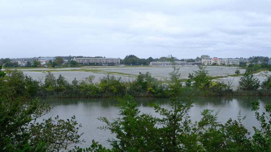 A marsh view from above, filled with water surrounding green trees in front of a gray, cloudy sky.