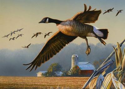 Goose Stamp