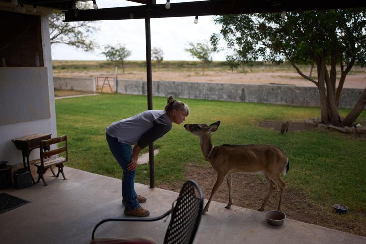Border Wall Landowners