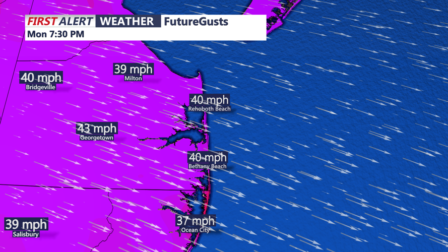 FUTURECAST WIND GUSTS - SUSSEX 2
