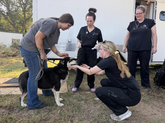 FOUR WOMEN PETTING DOG