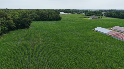 Empty Field
