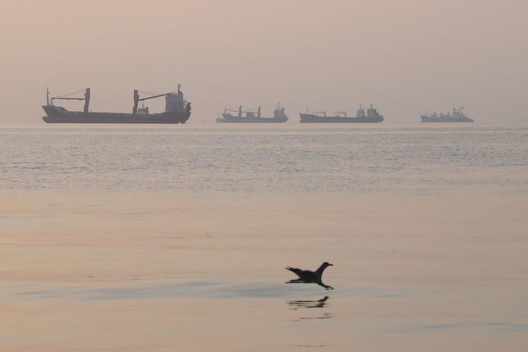 Iran Strait of Hormuz