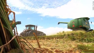 farming