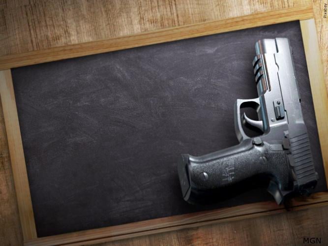 A handgun fell to the ground during a fight at Monday's Appoquinimink High School basketball game and was stepped on, which police say caused the gun to go off and strike a wall.