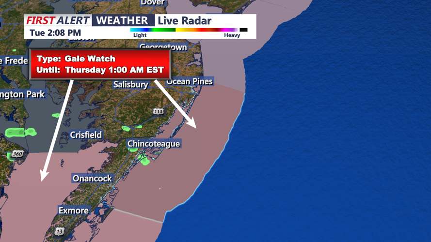 GALE WATCH - CHINCOTEAGUE