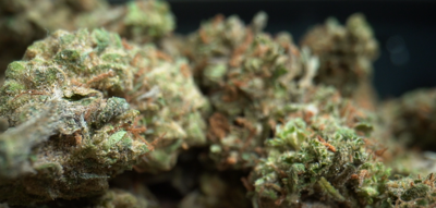 Pot