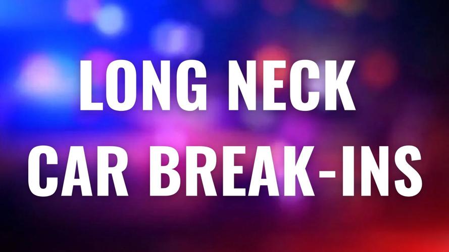 Long Neck car break-ins