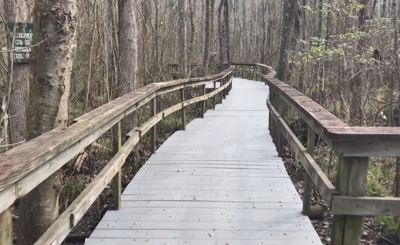 Maryland Trails