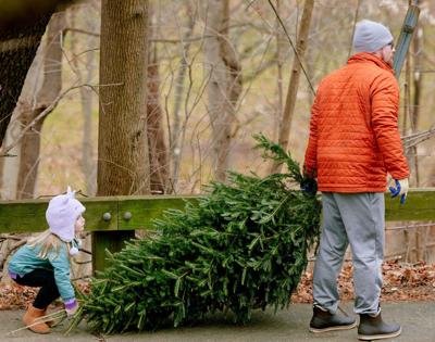 DNREC sponsors annual TreeCycle recycling event