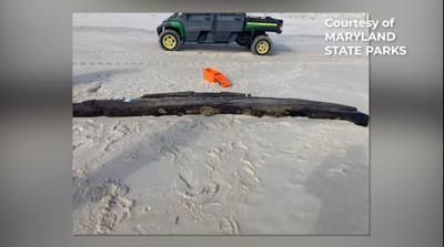 assateague ship piece