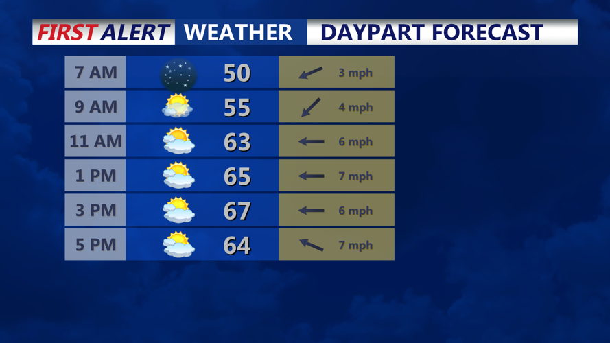 DAYPART FORECAST