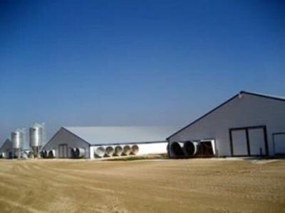 Keeping Disease off the Poultry Farm