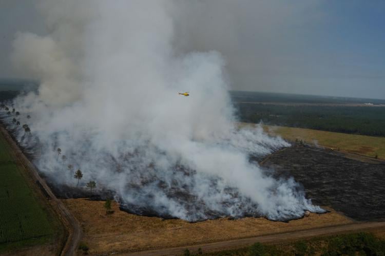 Climate Wildfires Global