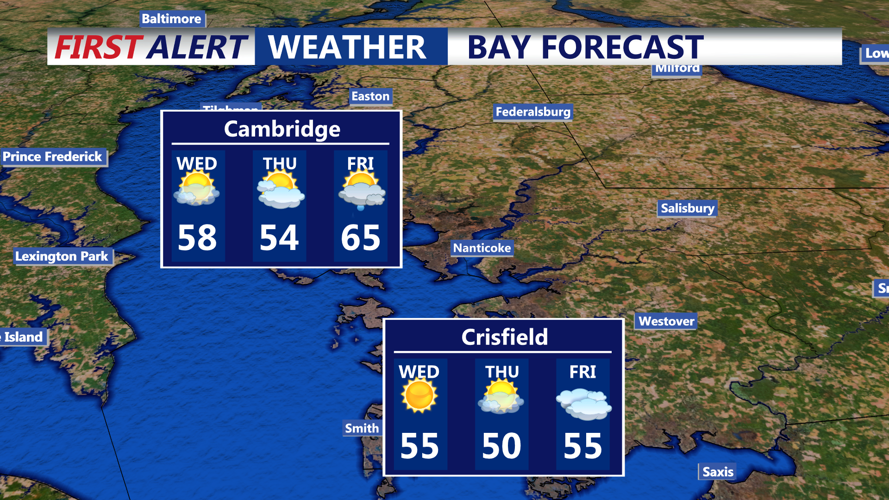 BAY FORECAST