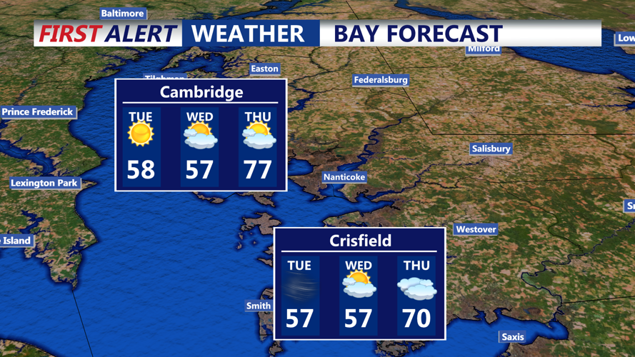 BAY FORECAST