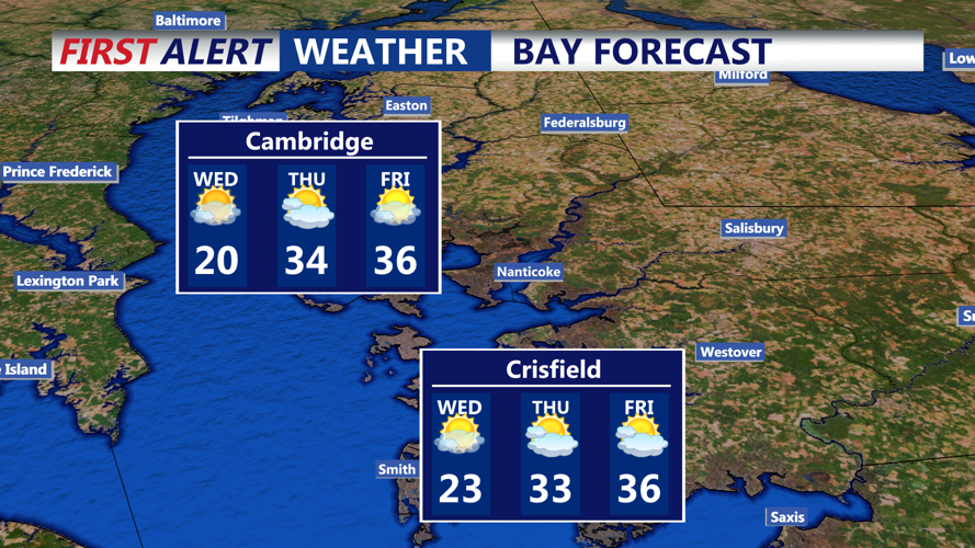 BAY FORECAST