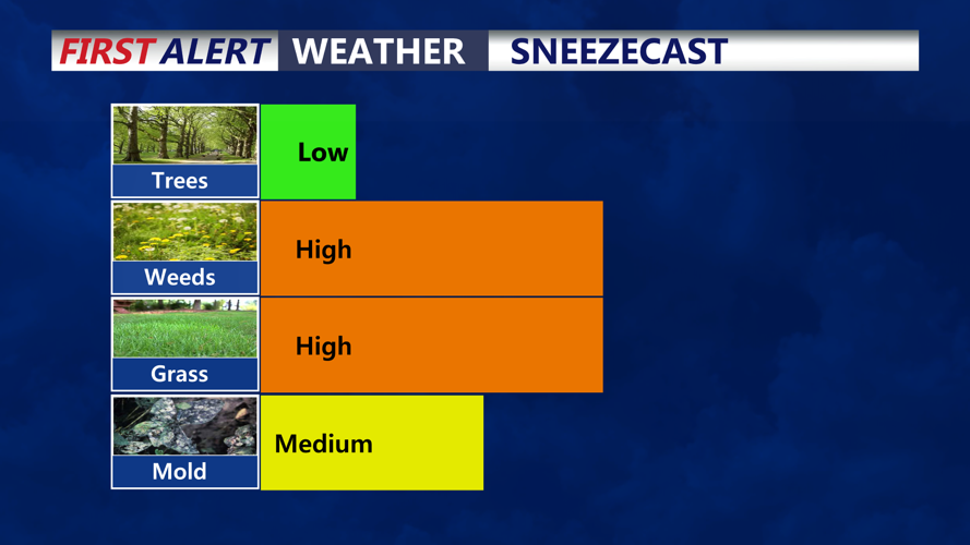 SNEEZECAST