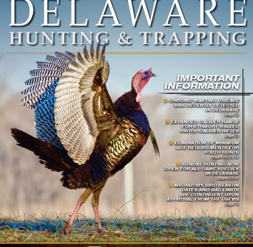 HUNTING GUIDE