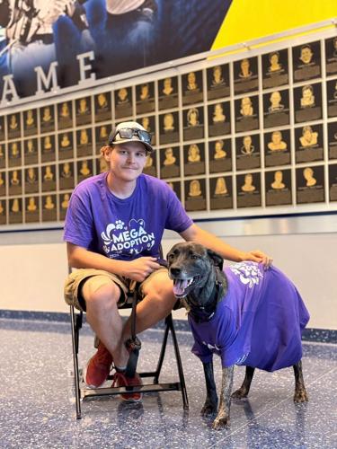Mega Adoption Event dog