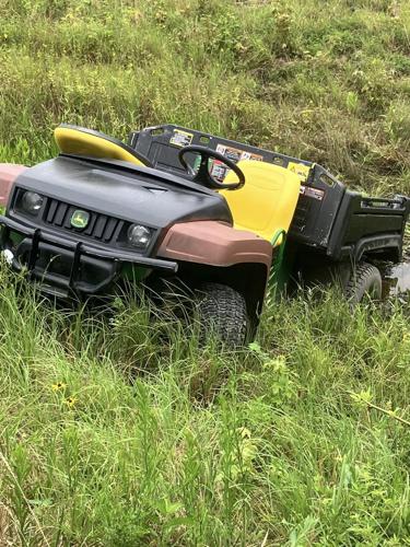 Sandhill Gator before