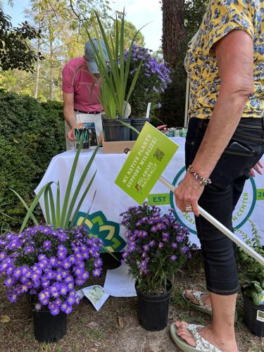 The Native Plant Sale will offer opportunities to purchase native plants grown by the local nursery partners (Rehoboth Art League).